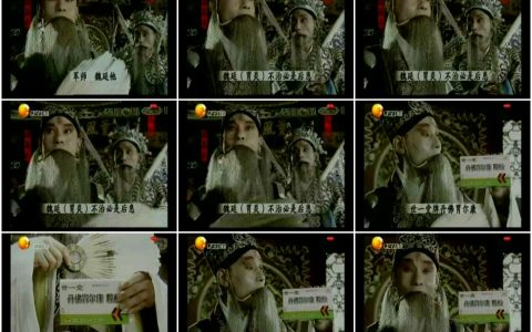 1056世一堂丹佛胃尔康颗粒之治魏贤篇15秒