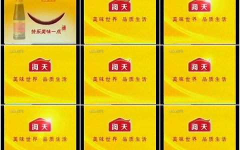 534海天蚝油一点通篇