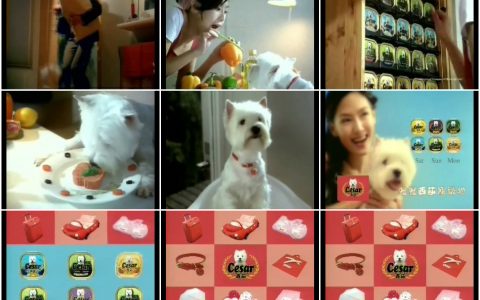 656西莎狗粮西莎时刻篇