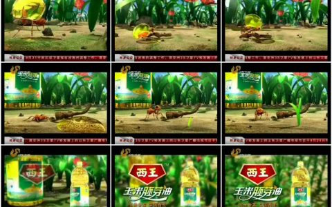 658西王玉米胚芽油蚂蚁篇