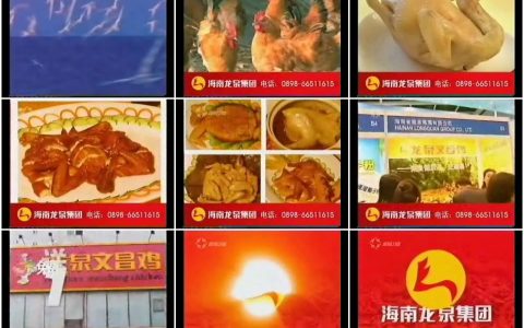 681龙泉文昌鸡之介绍篇