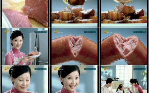 684龙大肉食品质保证篇