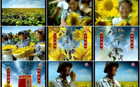 702恰恰香瓜子葵园篇