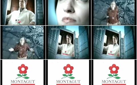 862蒙特娇之大楼海报篇