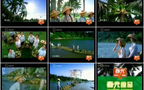 863春光椰子食品农家篇