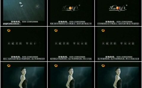 881亨奴女装之天赋灵韵篇