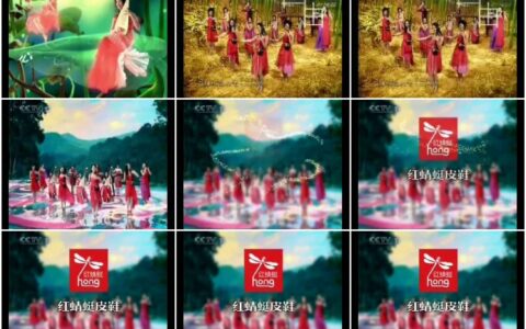 882红蜻蜓皮鞋彩色世界篇