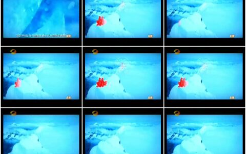 883蜘蛛王皮鞋跨越颠峰篇