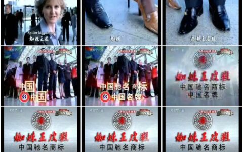 887蜘蛛王皮鞋选择不同篇