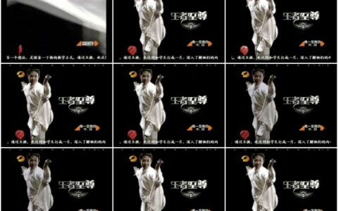 993尊贵运动鞋之功夫篇