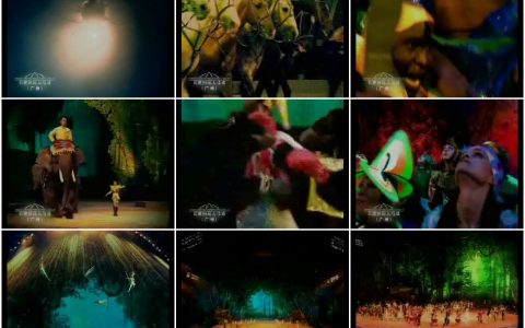 010旅游行业广告 (6)