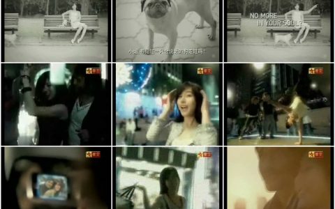 051韩国首尔溜狗篇