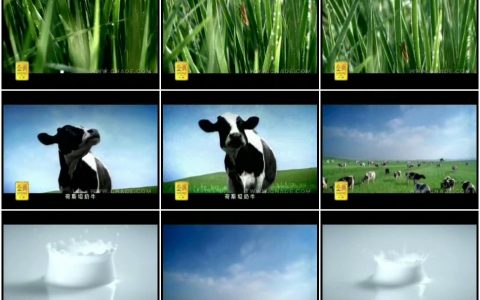 094伊利金典牛奶-真正好牛奶篇15秒