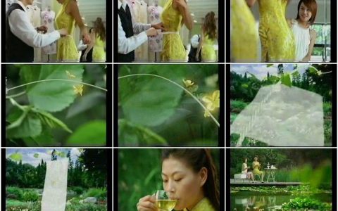 257立顿纤扬茶之量身造衣篇30秒