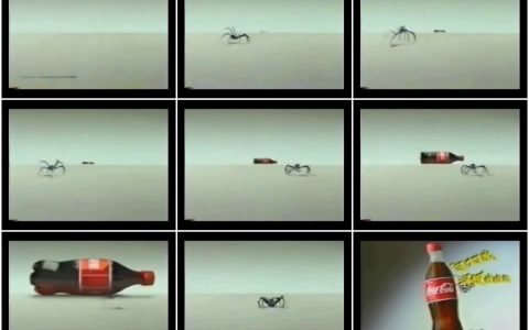 282可口可乐600曲线瓶蜘蛛篇