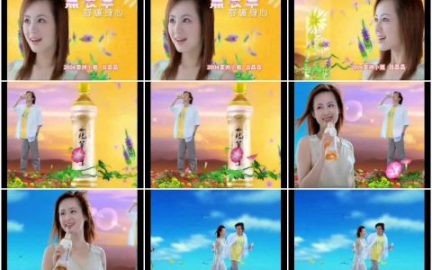 290娃哈哈健康花草茶杭白菊篇