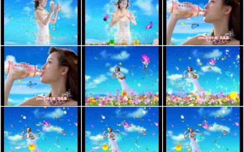 292娃哈哈健康花草茶蝴蝶篇