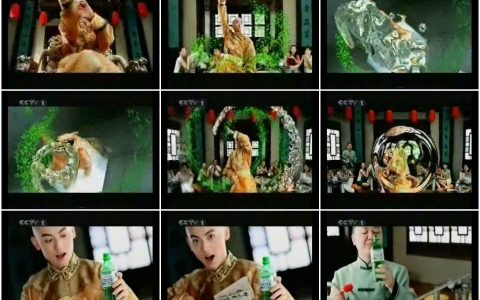 302娃哈哈龙井茶功夫篇