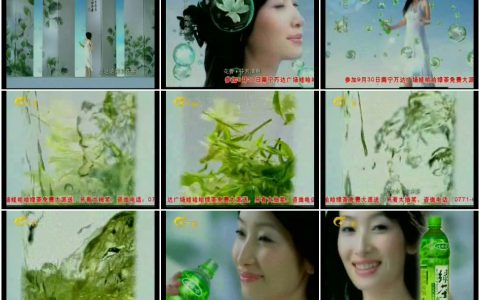 306娃哈哈茉莉花茶生津气爽篇