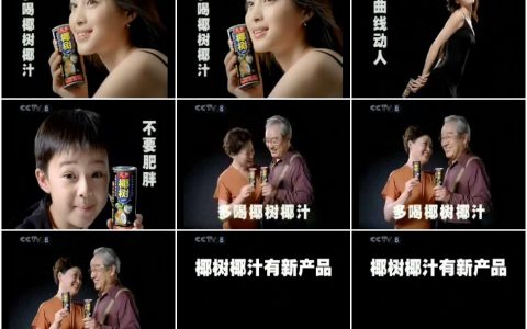 309椰树牌椰汁苗条篇