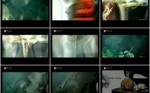 398人头马XO干邑成就珍贵篇