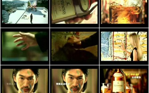 405轩尼诗V.S.O.P自我篇