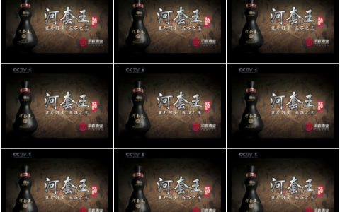 423河套王酒名人篇