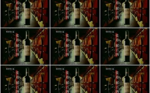 428张裕解百纳干红葡萄酒我的选择篇