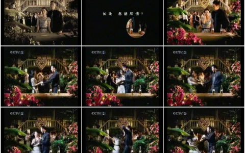 441雪津啤酒之尽情篇