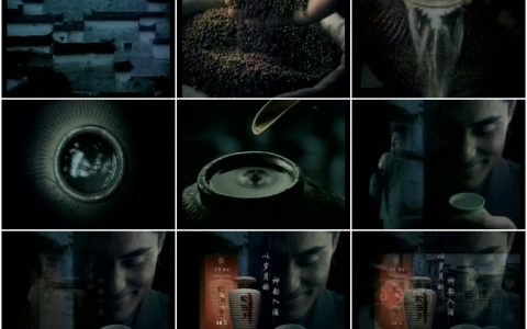 456珍品皖酒王岁月神韵篇