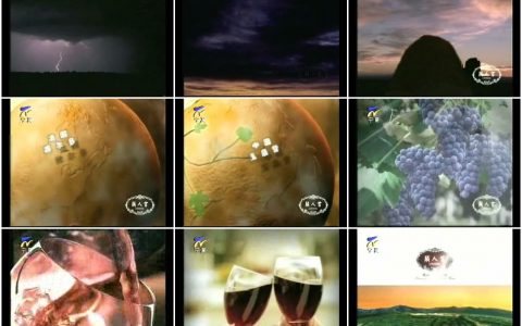 469类人首葡萄酒之出处篇