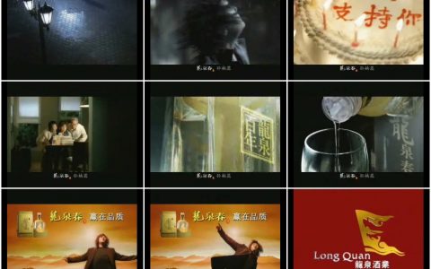 486龙泉春酒之承诺篇.wmv