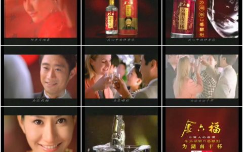 490金六福为湖南干杯