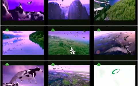 490均瑶牛奶之飞牛篇