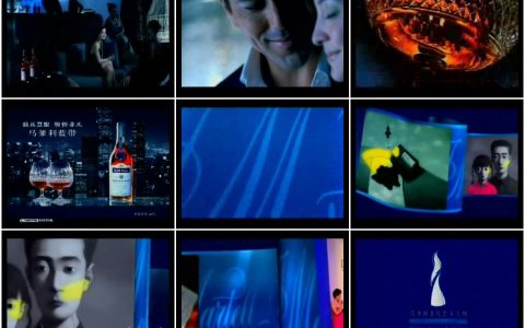 494马爹利蓝带领悟非凡篇