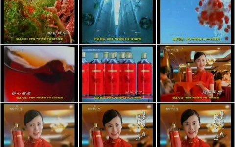 496枸杞果酒酿造工艺篇