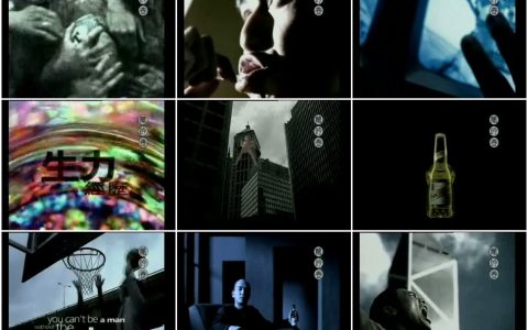 538生力啤酒你我的经历