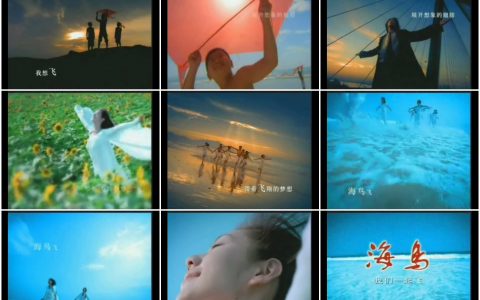 575南昌卷烟厂之海鸟