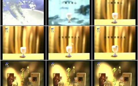 620大夏贡宁夏骄子酒之感悟人生篇