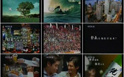 631青岛纯生啤酒