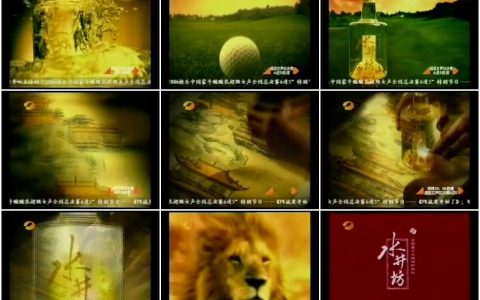 635水井坊高尚元素篇