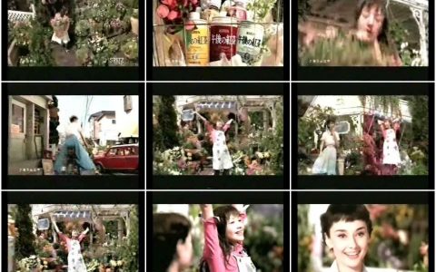 1230KIRIN午后红茶