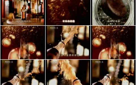 1254非常咖啡可乐激情与浪漫的体验篇