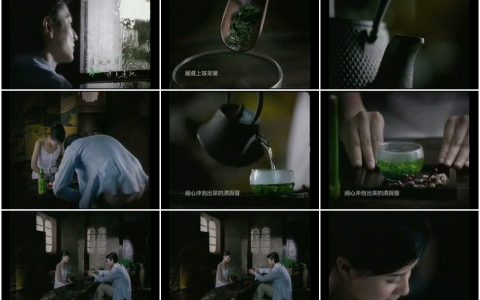 1276道地绿茶之品茶篇