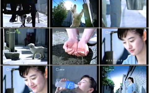 1283宝矿力水特四处寻水的小狗篇