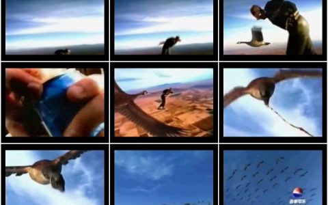 1293百事可乐大雁篇