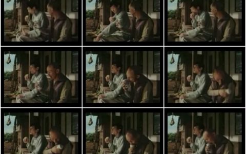 1336芬达青苹果汽水之学习篇