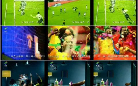 1392白云山凉茶球迷篇