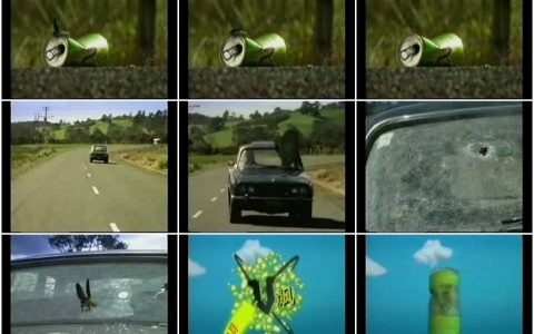 1396V飙之穿破挡风玻璃的苍蝇篇