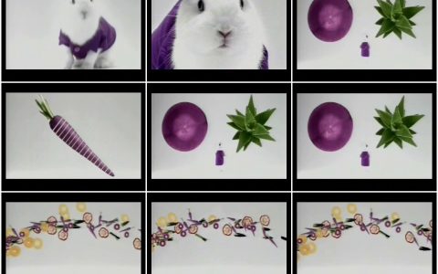 1420果汁先生紫金笋蔬果芦荟汁白兔篇